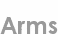 arms