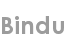 bindu