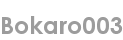 bokaro003