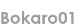 bokaro01