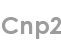 cnp2