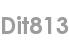 dit813