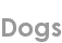 dogs