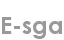e-sga
