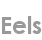eels