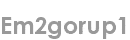 em2gorup1