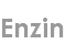 enzin