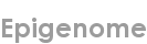 epigenome