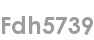 fdh5739