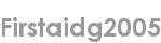 firstaidg2005