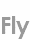 fly