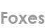 foxes