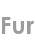 fur