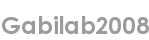 gabilab2008