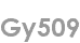 gy509
