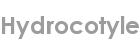 hydrocotyle