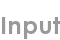 input