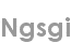 ngsgi