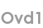 ovd1