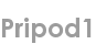 pripod1