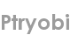 ptryobi