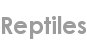 reptiles