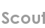 scout