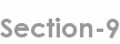section-9