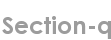 section-q