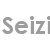 seizi