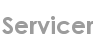 servicer