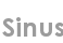 sinus