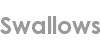 swallows