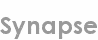 synapse