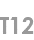 t12
