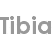 tibia