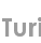 turi