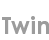 twin