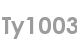ty1003