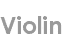 violin