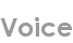 voice