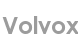 volvox